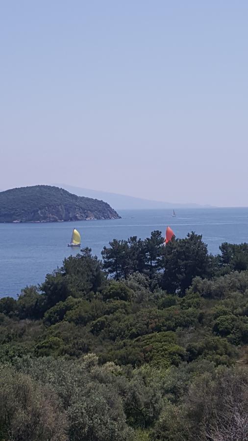 Sea Path Apartment PalaiónTsiflíkion Zewnętrze zdjęcie